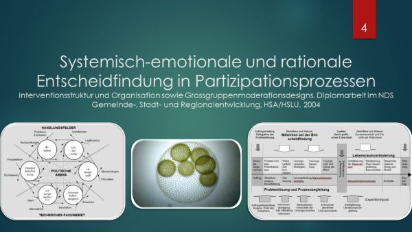 DA Systemische Entscheidfindung