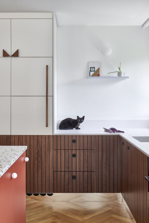 Flat for a cat lover