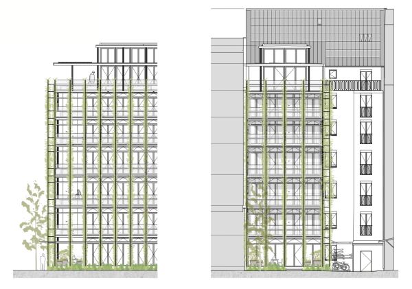 Haus Leber – Fassaden- und Gebäudebegrünung
